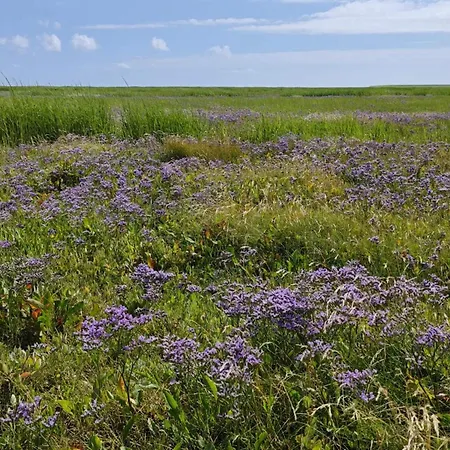 Charming Retreat On Mando - By Traum *