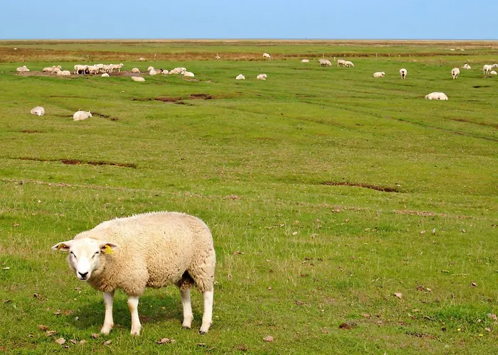 Charming Retreat On Mando - By Traum * Mandø By