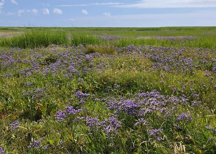 Charming Retreat On Mando - By Traum *